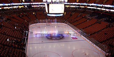 Image of Boston Bruins In Boston