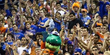Image of Florida Gators Football In Gainesville