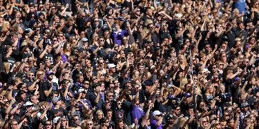 Image of Tcu Horned Frogs Football