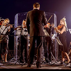 Image of Tanglewood Music Center Orchestra In Lenox