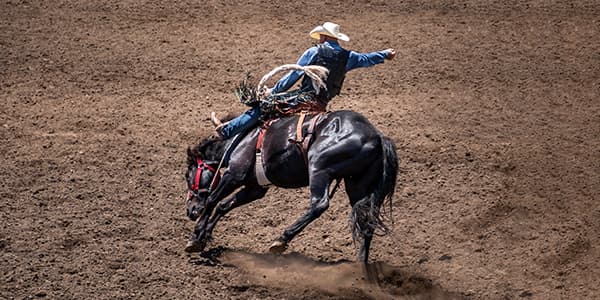 Image of PRCA Rodeo