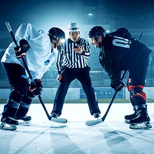 Image of Greenville Swamp Rabbits