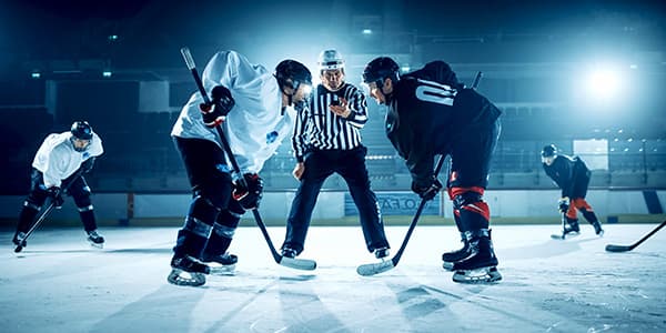 Image of Greenville Swamp Rabbits