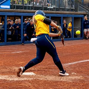 Image of Georgia Southern Eagles