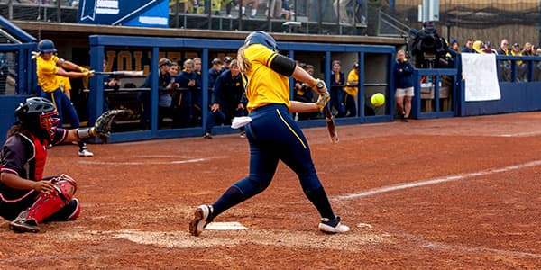 Image of Georgia Southern Eagles